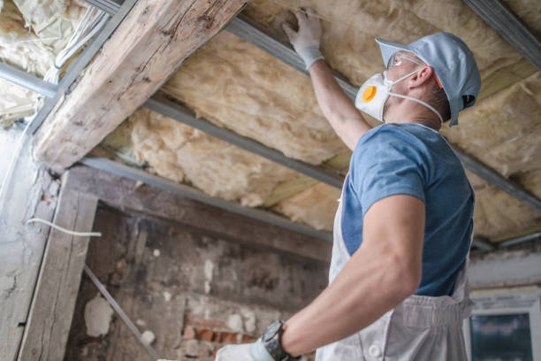 Types of Insulation We Offer in Jasper, GA