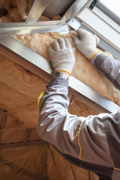 Professional Insulation Contractor in Jasper, GA