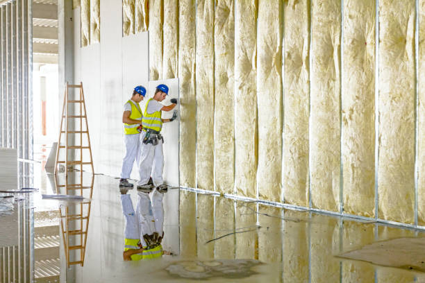 Best Blown-in Insulation in Jasper, GA